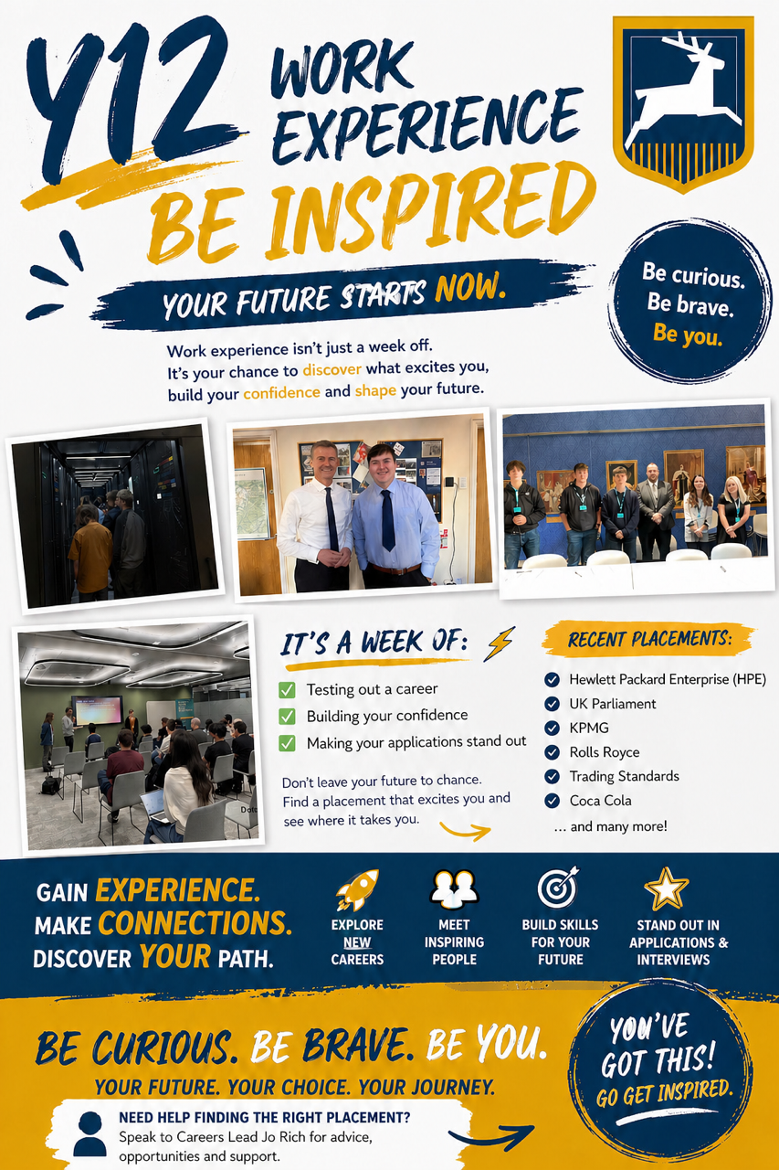 Poster to inspire Year 12 studendts to find meaningful work experience